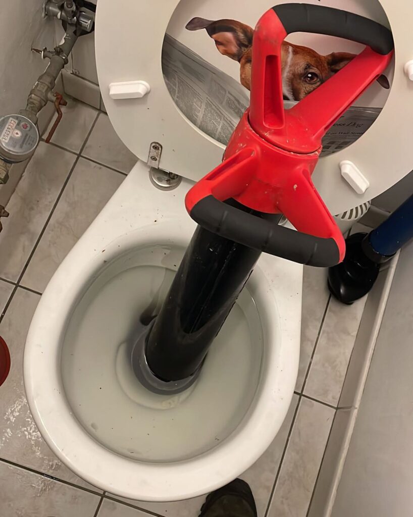 Débouchage WC Molenbeek-Saint-Jean : Service de Débouchage WC prix pas cher à Bruxelles