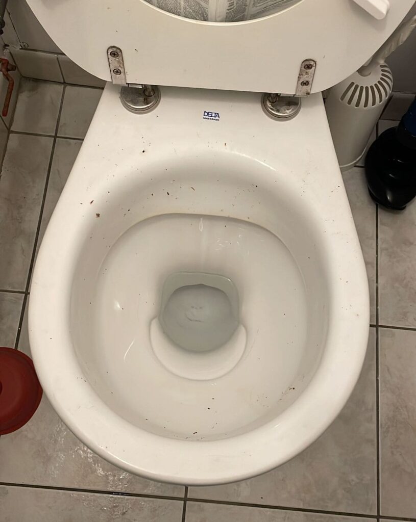 Débouchage wc Tubize (Tubeke) réalisé par l'Entreprise Mertens Débouchage