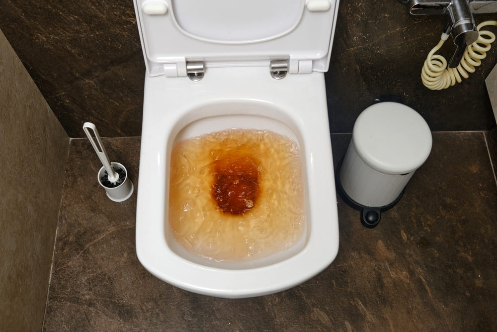 Service de débouchage WC Mouscron 7700