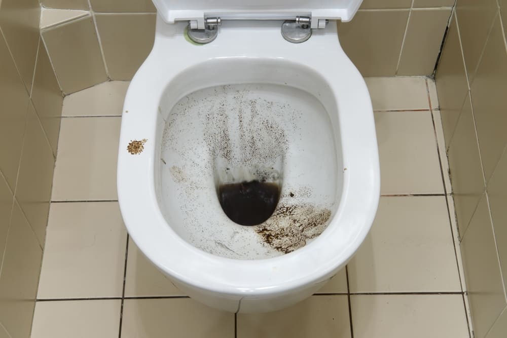 Débouchage wc Mouscron Moeskroen-7700