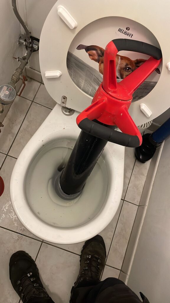 débouchage wc verviers 4800