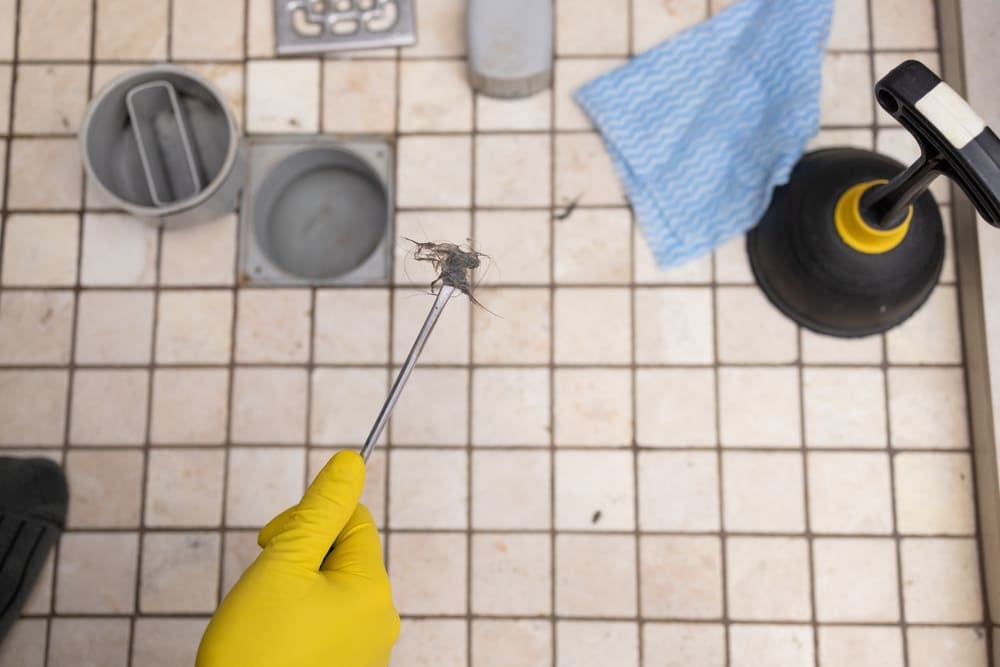 débouchage maison vs professionnel